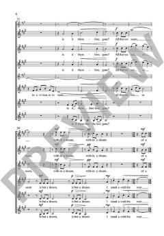 A Dream within a Dream von Alwin Michael Schronen 
