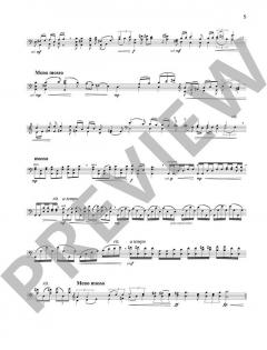 Concerto no. 2 von Peteris Vasks (Download) 
