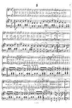 An der schönen blauen Donau op. 314 von Johann Strauss (Sohn) 