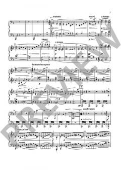 Der fliegende Holländer WWV 63 von Richard Wagner (Download) 