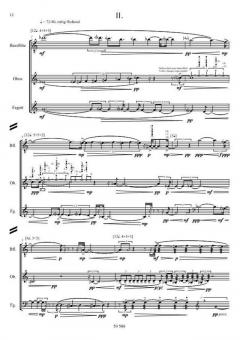 dull roots & spring rain von Benjamin Schweitzer (Download) 