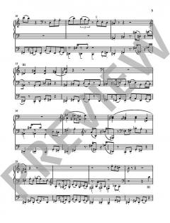 Concerto 3 von Peter Wittrich (Download) 