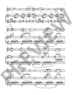 Gezi Park 3 op. 54b von Fazil Say (Download) 