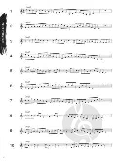 1001 Jazz Licks von Jack Shneidman 