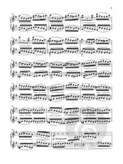 Die Moldau von Bedrich Smetana (Download) 