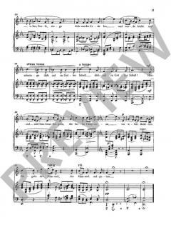 Sämtliche Lieder mit Klavierbegleitung Band 1 von Hans Pfitzner (Download) 