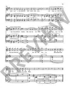 Sämtliche Lieder mit Klavierbegleitung Band 1 von Hans Pfitzner (Download) 