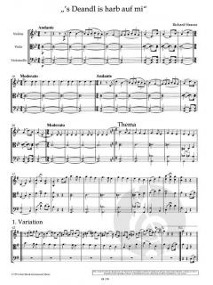 Variationen über 's Deandl is harb auf mi von Richard Strauss (Download) 