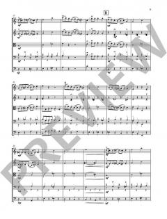 Ragtimes for String Ensemble von Leslie Searle (Download) 
