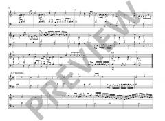 Sämtliche Orgelwerke: Meister der Nordeutschen Orgelschule Band 7 von Johann Praetorius (Download) im Alle Noten Shop kaufen