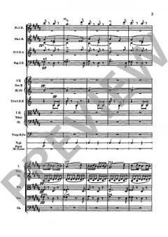 Slawische Tänze op. 72/1-4 B 147 von Antonín Dvořák 