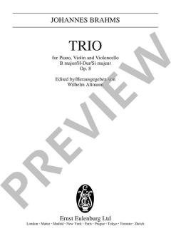 Klaviertrio Nr. 1 in H-Dur op. 8 von Johannes Brahms 