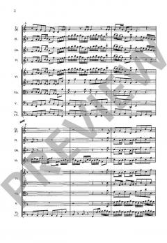 Brandenburgisches Konzert Nr. 2 in F-Dur BWV 1047 von Johann Sebastian Bach 