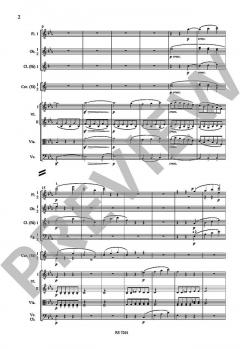 Symphonie Nr. 3 Es-Dur op. 55 von Ludwig van Beethoven 