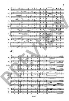 Symphonie Nr. 3 Es-Dur op. 55 von Ludwig van Beethoven 