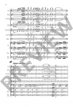 Symphonie Nr. 1 C-Dur op. 21 von Ludwig van Beethoven 