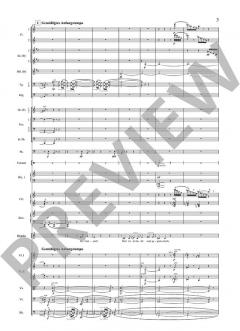Die tote Stadt op. 12 von Erich Wolfgang Korngold 