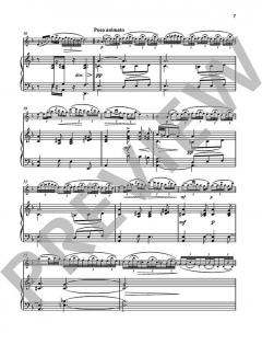 Fantaisie pastorale hongroise op. 26 von Árpád Doppler 