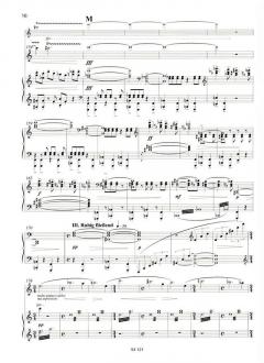 Konzert op. 33 von Stefan Heucke (Download) 