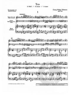 Trio d-Moll von Georg Philipp Telemann (Download) 