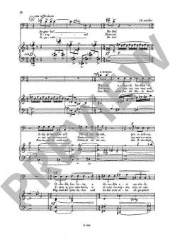 Schwanengesang von Jirí Pauer (Download) 