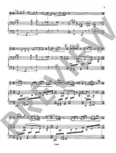 Rhythmen aus der Straße von Hanus Barton (Download) 
