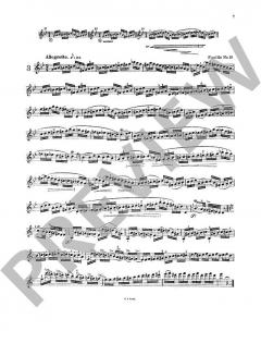 Les Maitres du Violon 8 von Mathieu Crickboom (Download) 
