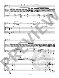 Concertstück op. 3 von Joachim Andersen 