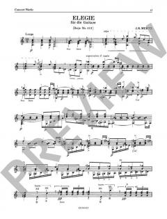 Guitar Works Vol. 6: Concert Works von Johann Kaspar Mertz 