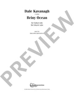 Briny Ocean von Dale Kavanagh 