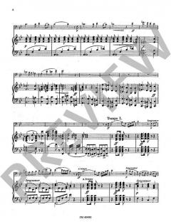 Concertstück op. 28 von Max Warnecke 