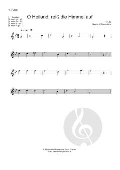 O Heiland, reiß die Himmel auf (Download) 
