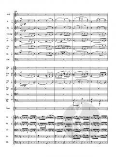 Symphonie Nr. 3 c-Moll op. 78 von Camille Saint-Saëns 