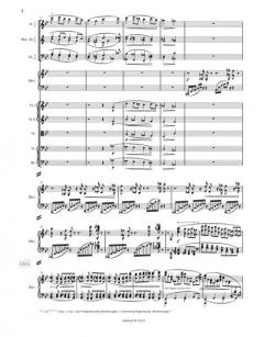 Klavierkonzert Nr. 2 B-dur op. 83 von Johannes Brahms 