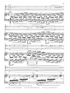 Klaviertrio g-moll op. 3 von Ernest Chausson 