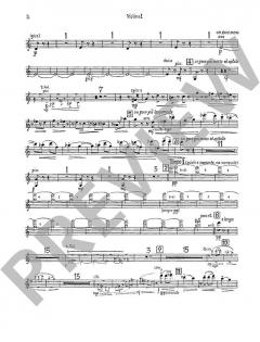 Concerto Nr. 2 in C-Dur op. 160 von Mario Castelnuovo-Tedesco (Download) 