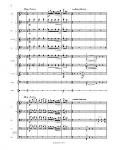 Peer Gynt Suite Nr. 2 op. 55 von Edvard Grieg 