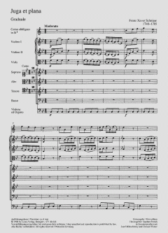 Juga et plana (Franz Xaver Schnizer) 