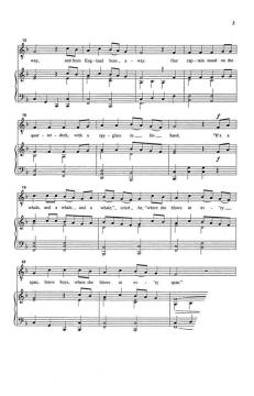 Vocal Library: Solos for The Changing Male Voice von David A. Perry 