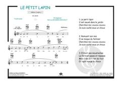 Un petit lapin 