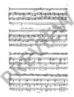 Weihnachtskonzert op. 119 von Paul Coenen (Download) 