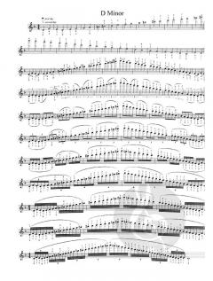 The Violinist’s Daily Warm-Ups and Scale System von Roland Vamos im Alle Noten Shop kaufen