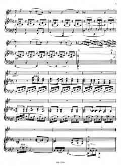 Thema und Variationen op. 13 von Franz Strauss für Horn und Klavier