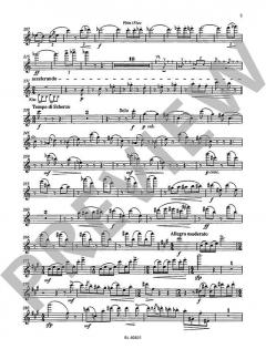 Nonett op. 30 von Graham Waterhouse (Download) 