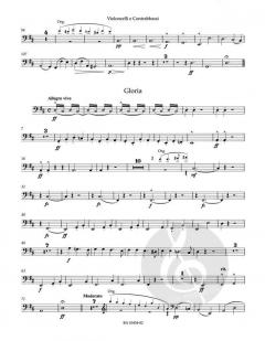 Messe D-Dur op. 86 von Antonín Dvořák 