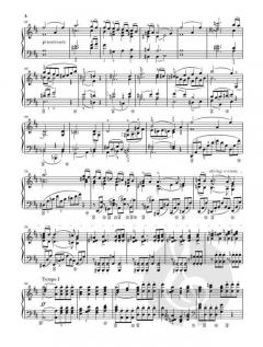 Klaviersonate h-moll op. 5 von Richard Strauss im Alle Noten Shop kaufen