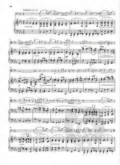 Sonate Nr. 2 g-moll op. 117 von Gabriel Fauré 