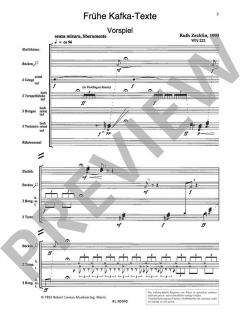 Frühe Kafka-Texte WN 222 von Ruth Zechlin (Download) 