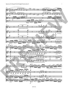 Quartetto after Matiegka's Notturno von Franz Schubert (Download) 