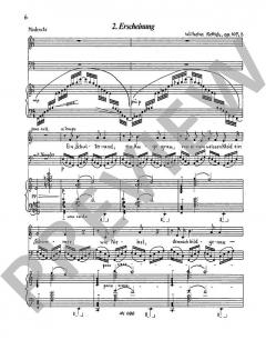 Fremde Fühlung op. 107 von Wilhelm Rettich (Download) 